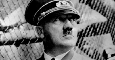 Copertina di La ricerca: Hitler aveva i genitali  non sviluppati
