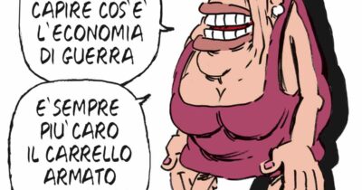 Copertina di La vignetta di Franzaroli