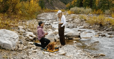 Copertina di “Il nostro cane Arlo è morto quattro giorni dopo avere assistito alla proposta di matrimonio”: coppia racconta gli ultimi attimi con il loro cucciolo