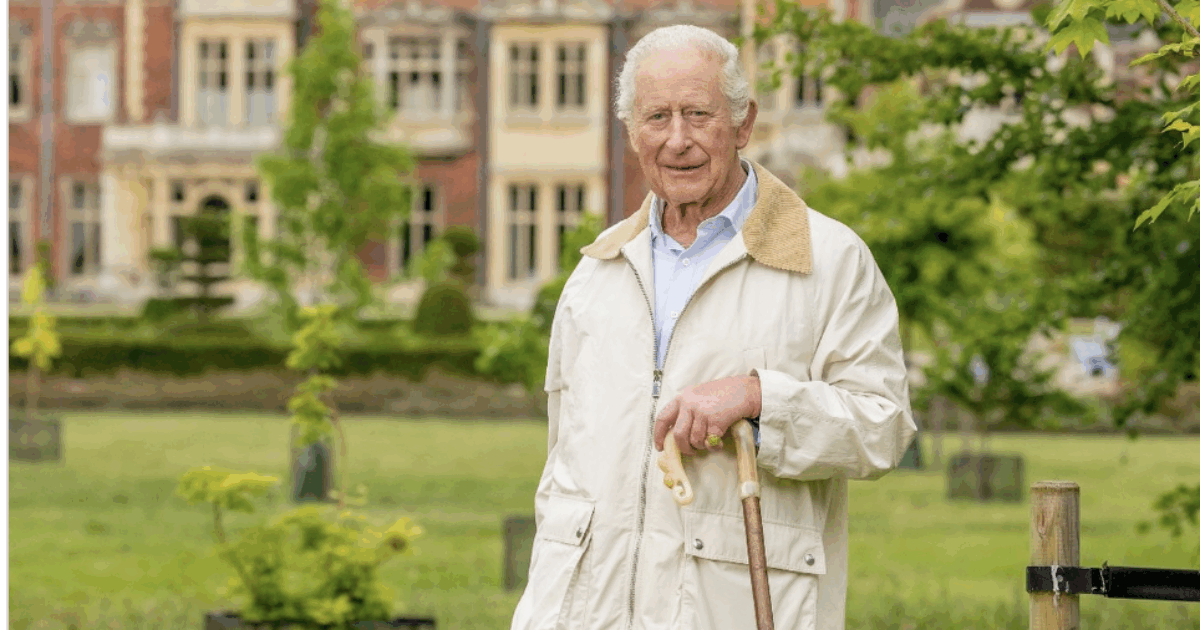 “Il cancro di Carlo è inguaribile. Non è in remissione ma il tumore non lo ferma. Ormai convive con la malattia”: i 77 anni del re e il ruolo di William