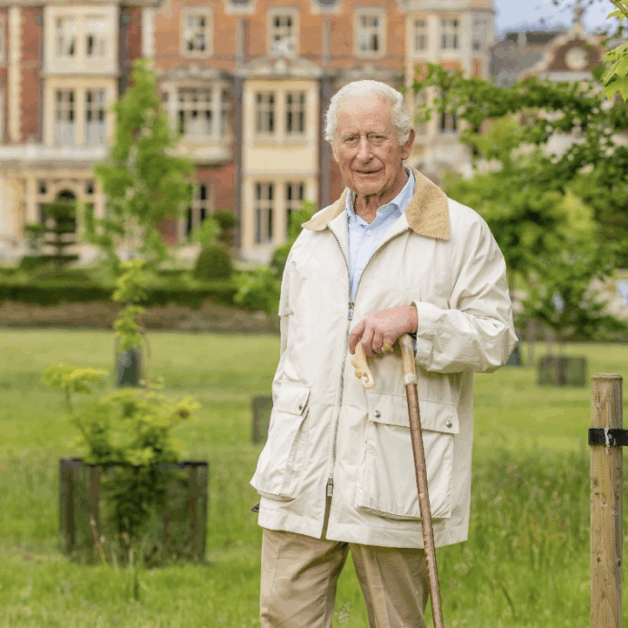 “Il cancro di Carlo è inguaribile. Non è in remissione ma il tumore non lo ferma. Ormai convive con la malattia”: i 77 anni del re e il ruolo di William