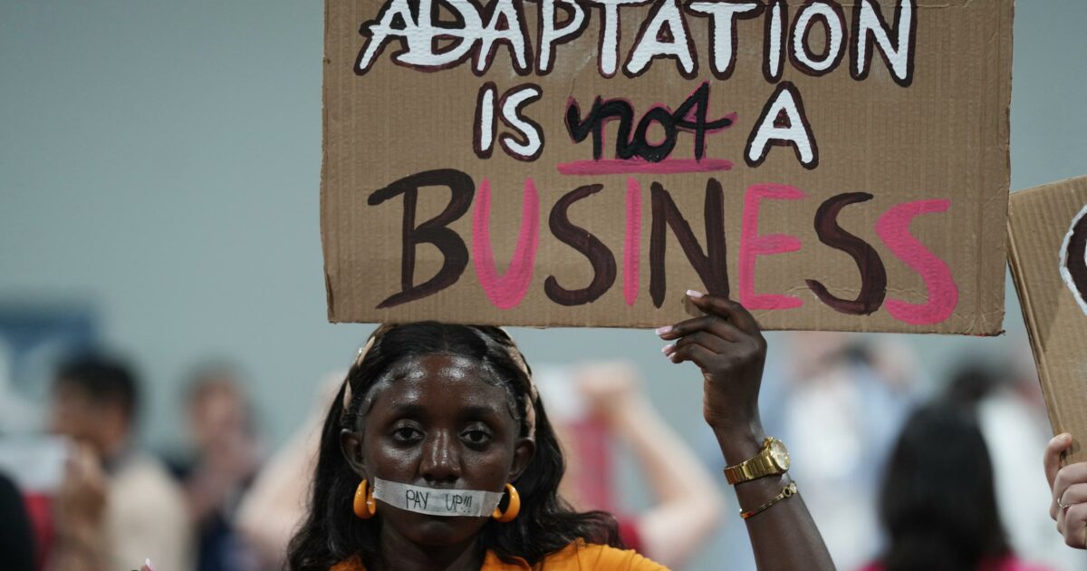 Cop30, in Amazzonia indigeni e attivisti uniti nel Vertice dei popoli: il soffio della foresta salverà il pianeta Cop30, in Amazzonia indigeni e attivisti uniti nel Vertice dei popoli: il soffio della foresta salverà il pianeta