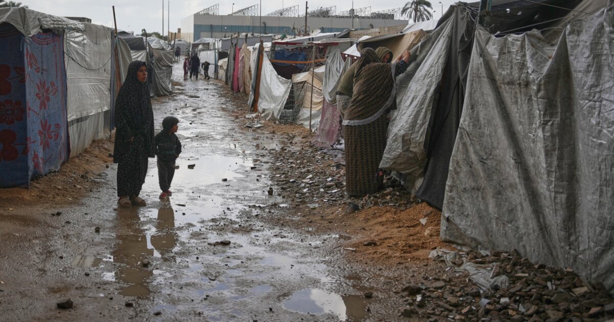 Gaza, Unrwa: “Israele blocca gli aiuti e viola il diritto internazionale”. Oms: “4mila bambini in attesa di uscire per cure salvavita” Gaza, Unrwa: “Israele blocca gli aiuti e viola il diritto internazionale”. Oms: “4mila bambini in attesa di uscire per cure salvavita”