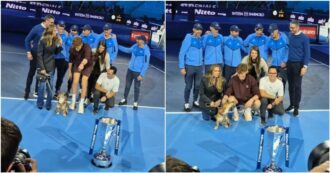 Copertina di Il cane di Sinner si prende la scena durante la foto con il trofeo: lo sguardo incantato di Snoopy è virale sui social | Video