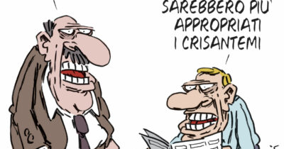 Copertina di La vignetta di Franzaroli