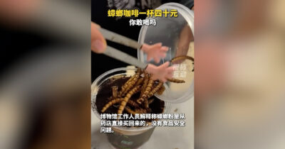 Copertina di Caffè con polvere di scarafaggio e vermi tostati, la specialità “agli insetti” diventa virale: “Non è così disgustoso”