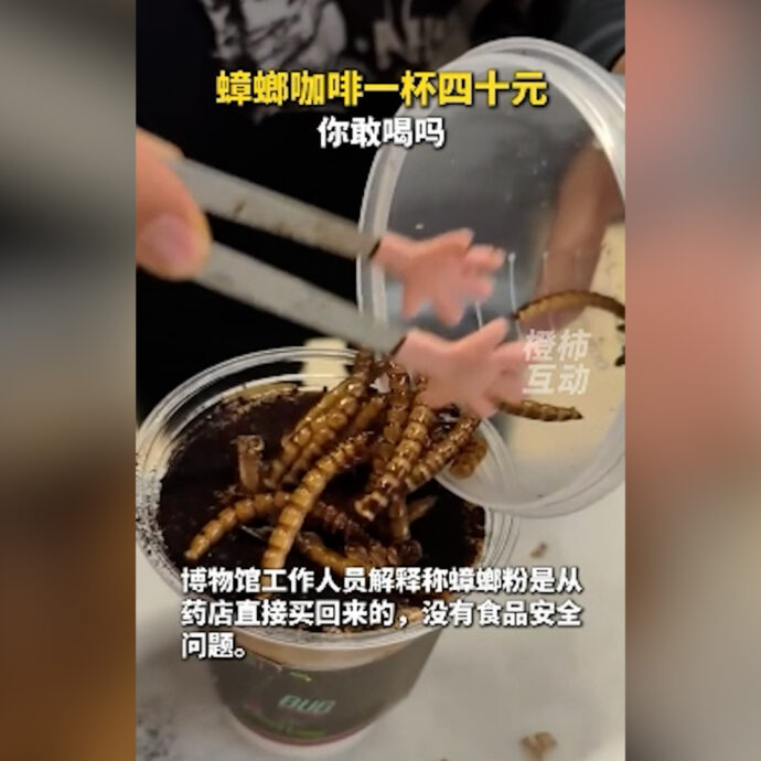 Caffè con polvere di scarafaggio e vermi tostati, la specialità “agli insetti” diventa virale: “Non è così disgustoso”