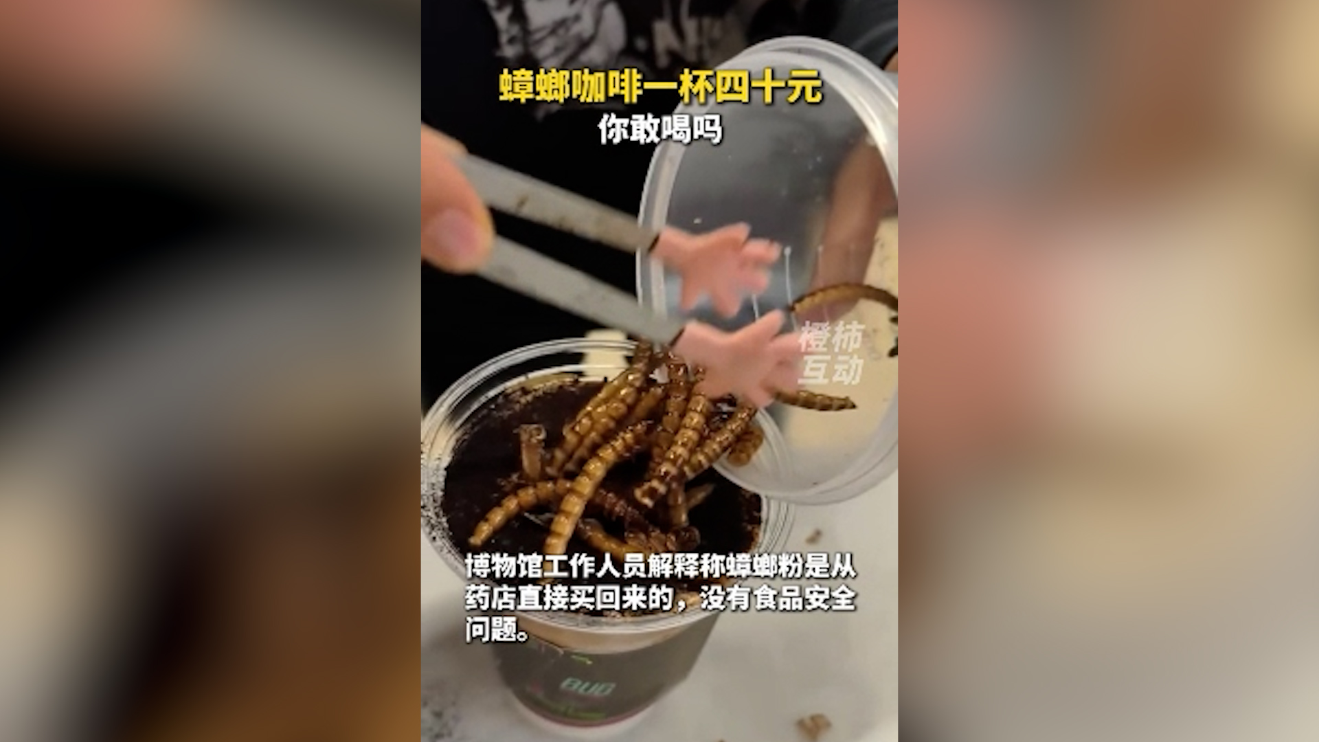 Caffè con polvere di scarafaggio e vermi tostati, la specialità “agli insetti” diventa virale: “Non è così disgustoso”