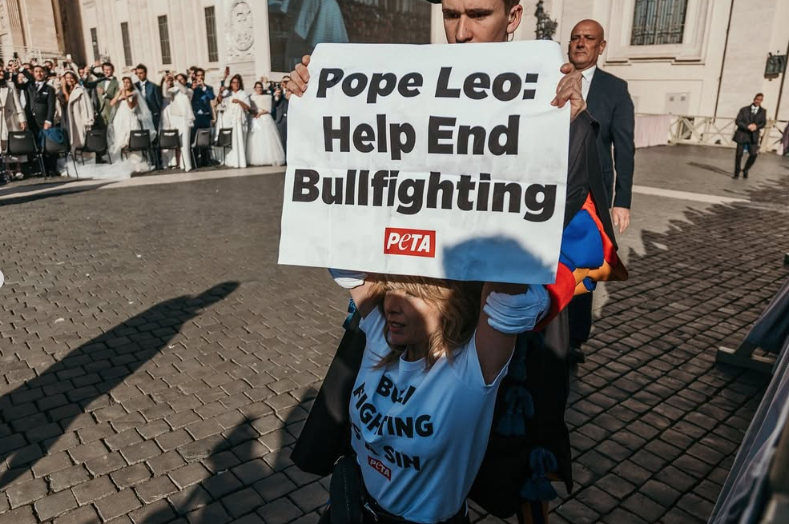 Loredana Cannata arrestata in Vaticano, l’attrice scavalca le transenne con un messaggio per il Papa: “Aiutaci ad abolire la corrida”