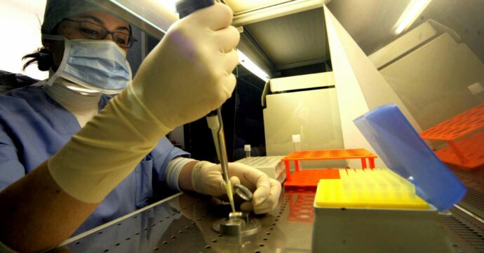 Natalità, “contributi al congelamento ovuli”