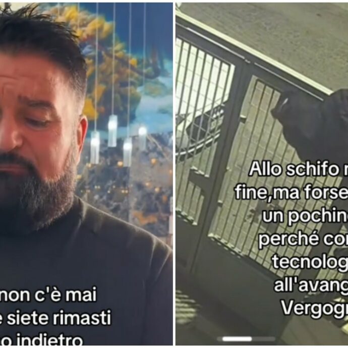 “Cosa vi passa per la testa di venire qua a staccare la corrente per far morire astici e aragoste”: furto sventato alla pescheria di Peppe di Napoli