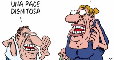 Copertina di La vignetta di Franzaroli