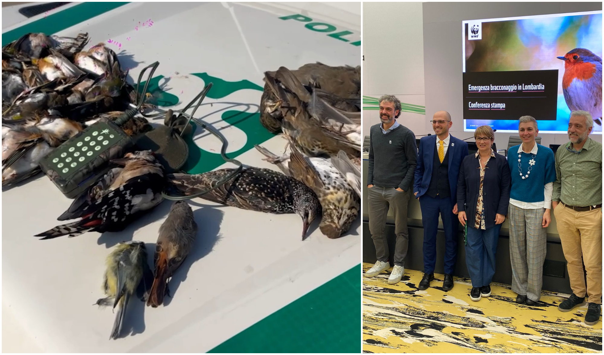 Bracconaggio in crescita, l’allarme arriva dalla Lombardia: “Incentivato dalla politica, la legge del centrodestra aggrava il fenomeno”