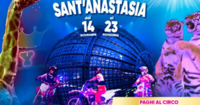 Scontro durante uno spettacolo acrobatico in un circo itinerante: morto un motociclista di 26 anni