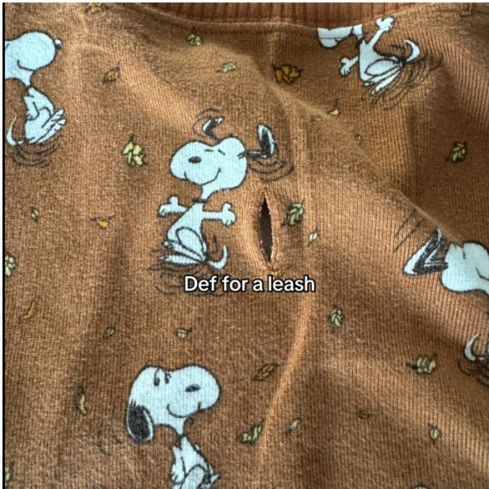 “Quando l’ho comprato mi sembrava un bel maglione autunnale, poi l’ho provato e ho fatto una scoperta incredibile. Ecco a cosa serve quel buco sul retro…”: il video di LeeAnn è virale