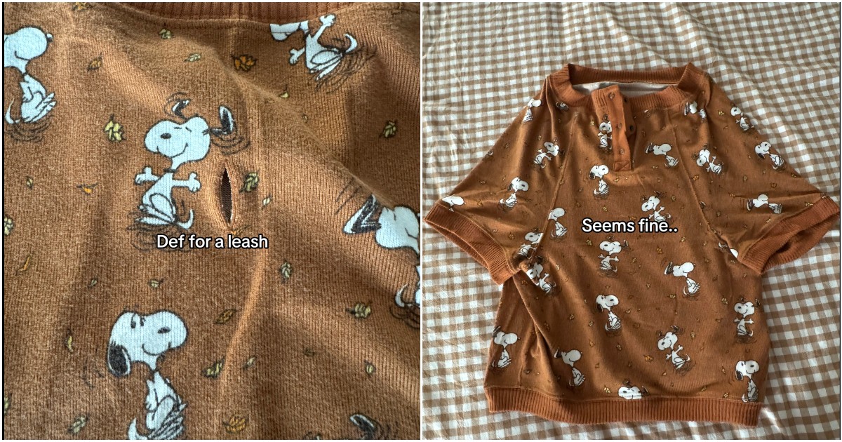 “Quando l’ho comprato mi sembrava un bel maglione autunnale, poi l’ho provato e ho fatto una scoperta incredibile. Ecco a cosa serve quel buco sul retro…”: il video di LeeAnn è virale