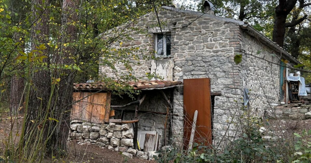 Bimbi nel bosco “allontanati dopo un anno di osservazione, i genitori non hanno rispettato le prescrizioni”