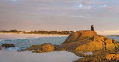 Copertina di I tre anni del pensiero magico (di Geraldine Brooks): la recensione di ‘’Ti ritrovo nel silenzio’’