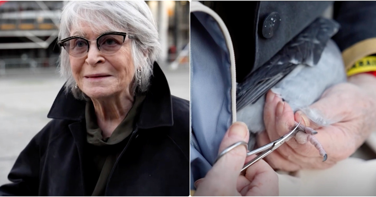 salvo i piccioni dai capelli umani se si aggrovigliano intorno alle zampe non possono pi249 muoversi n233 accoppiarsi fino a perdere le dita la storia di catherine hervais