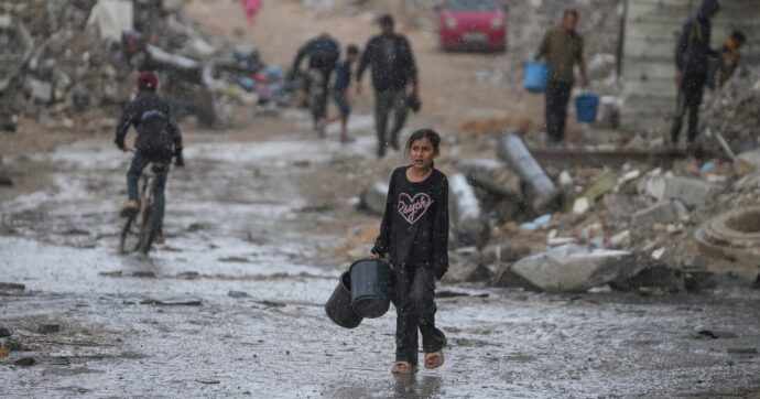 Leggere Primo Levi a Gaza: “In ‘Se questo è un uomo’ ritroviamo lo scarso valore della vita che si vede in Palestina”