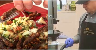 Copertina di “Le cavallette e i grilli li faccio fritti ma senza rimuovere l’esoscheletro. Sono più croccanti così”: chef Baumgarten presenta il suo menù a base di insetti