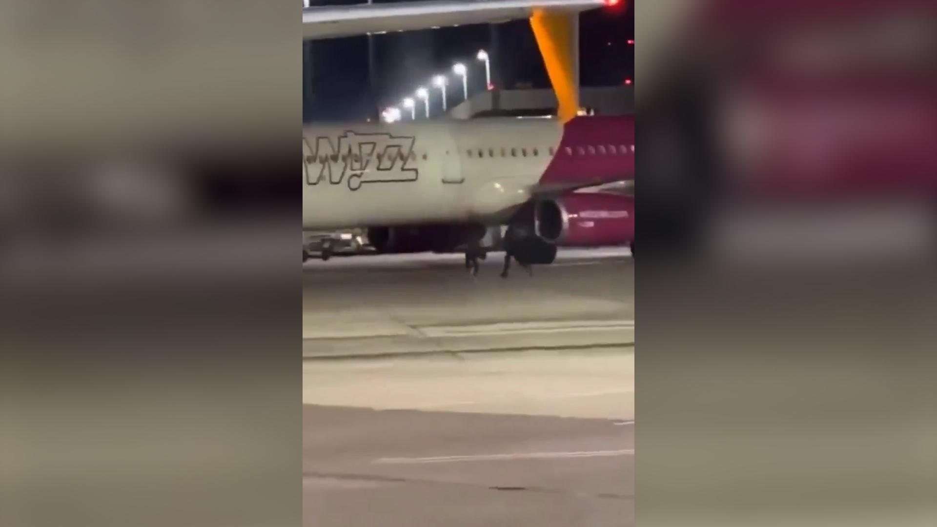 Passeggeri arrivano in ritardo e corrono sulla pista per non perdere il volo: allarme all’aeroporto di Colonia – Video
