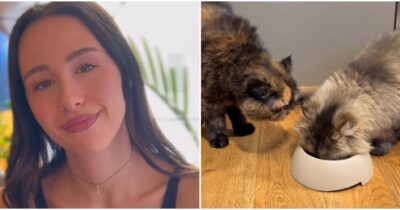 Copertina di “Saba non voleva più vivere con me, ho dovuto lasciarla andare”: Aurora Ramazzotti racconta del legame difficile con il suo gatto