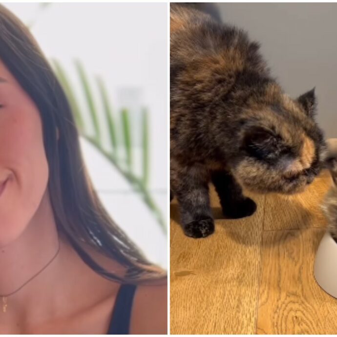 “Saba non voleva più vivere con me, ho dovuto lasciarla andare”: Aurora Ramazzotti racconta del legame difficile con il suo gatto