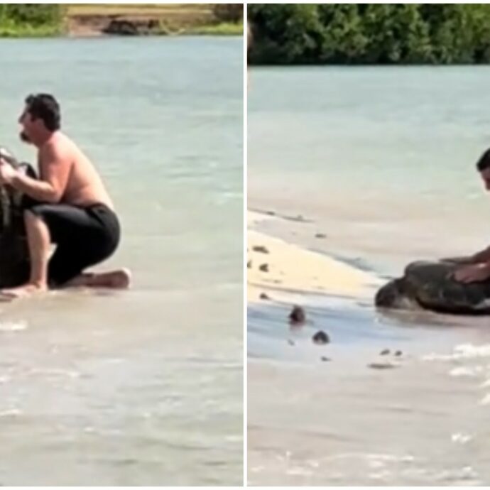 Uomo molesta una tartaruga alle Hawaii per farsi una foto, scoppia la polemica sul Web: “Disgustoso e inquietante”
