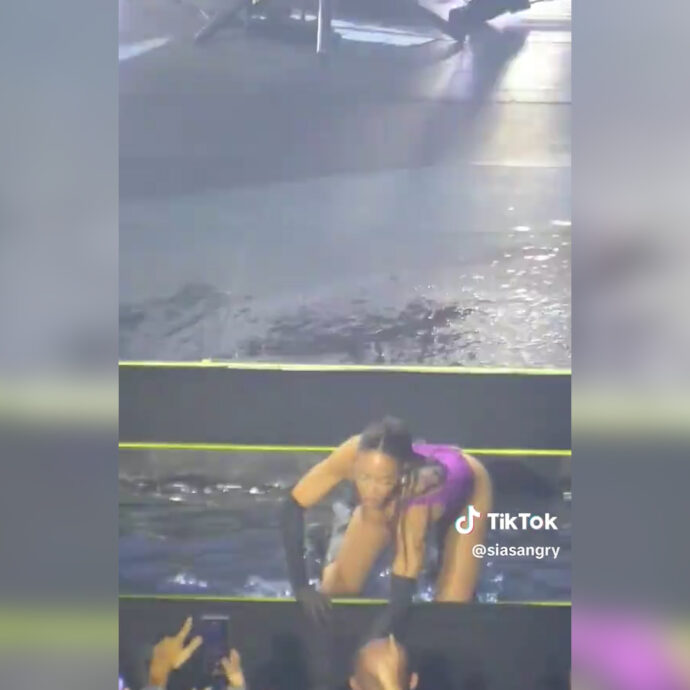 Elodie infuriata durante il concerto: strappa il telefono dalle mani di un uomo che la riprende troppo da vicino – Video