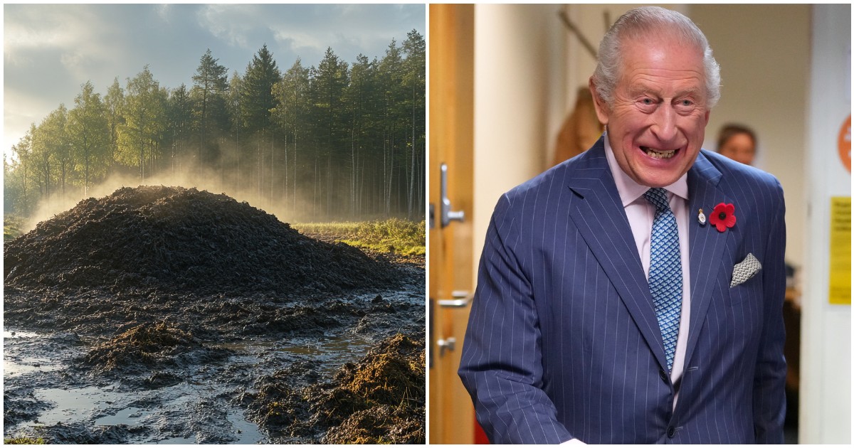 “Re Carlo sta per costruire un’enorme vasca di letame vicino alla casa di William e Kate, ci sarà un tanfo tremendo”: la rivelazione del Daily Mail