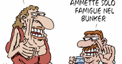 Copertina di La vignetta di Franzaroli