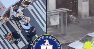 Copertina di Sparatoria a Washington, il video della cattura del sospettato: poi l’uomo viene portato via in ambulanza