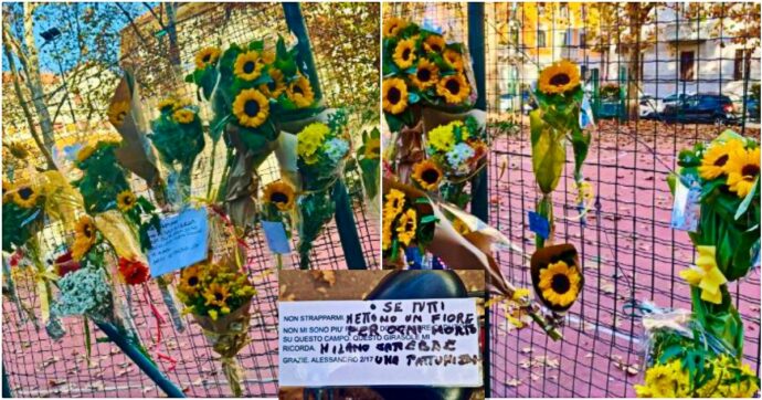 Strappano il fiore per il figlio morto, la comunità del basket reagisce: la rete del campetto si riempie di girasoli per Alessandro