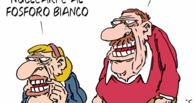 Copertina di La vignetta di Franzaroli