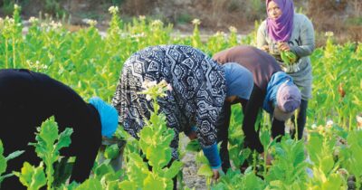 Copertina di Denuncia di Slow Food: i salari delle donne braccianti sono più bassi di quelli degli uomini