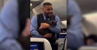 Copertina di Gatto ruba la scena all’assistente di volo durante la dimostrazione per la sicurezza a bordo, poi miagola cercando il proprietario – Video