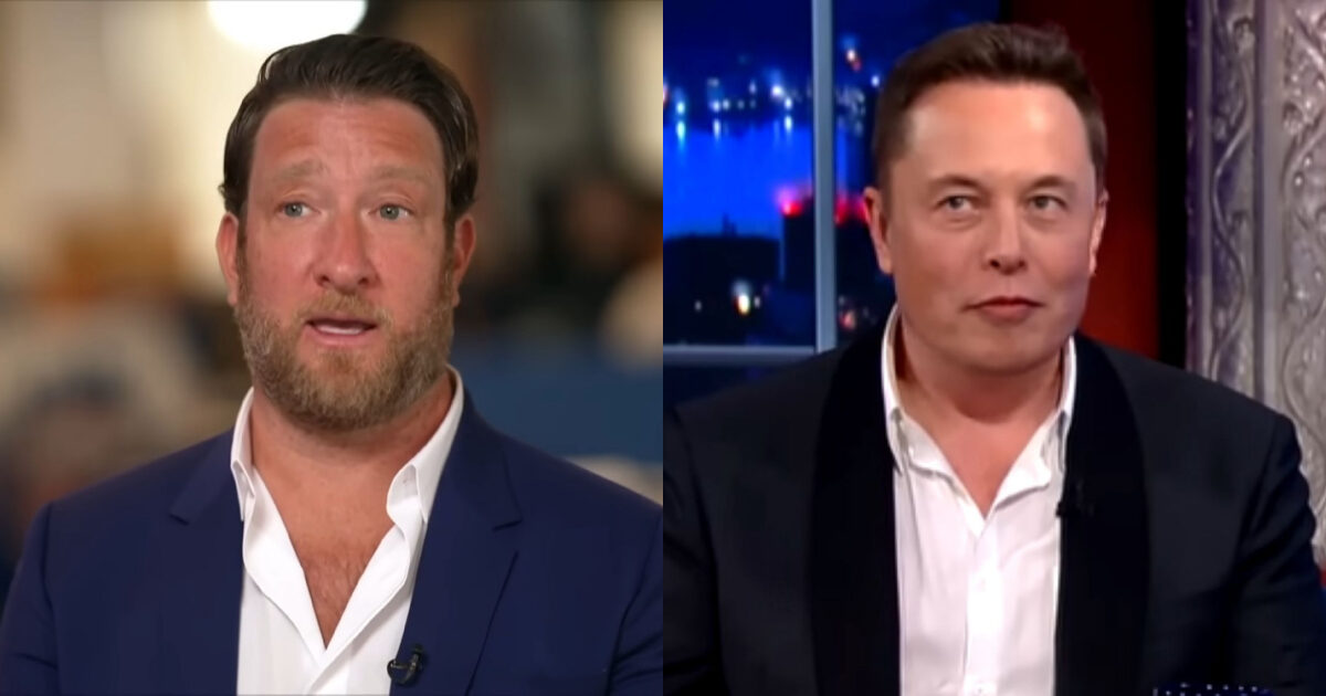 Pubblica la foto del giardino per denunciare l’atto vandalico e Grok svela il suo indirizzo: polemica sull’IA di Elon Musk