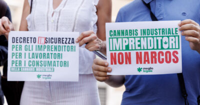 Copertina di Cannabis light, il decreto Sicurezza arriva alla Consulta: il tribunale di Brindisi solleva dubbi sul bando alle infiorescenze