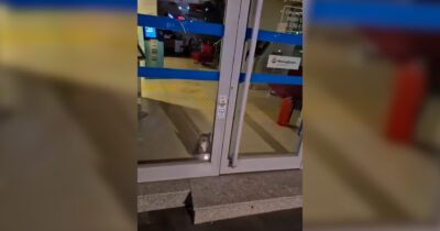 Copertina di Scatta l’allarme della banca, la sorpresa all’arrivo della sicurezza: il “ladro” è un innocuo gattino – Video