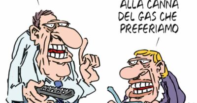 Copertina di La vignetta di Franzaroli