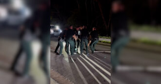 Copertina di Alligatore di quattro metri (e 450 chili) si aggira tra le case: ecco quanti agenti servono per spostarlo. L’intervento della polizia