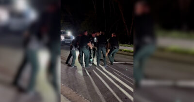 Copertina di Alligatore di quattro metri (e 450 chili) si aggira tra le case: ecco quanti agenti servono per spostarlo. L’intervento della polizia