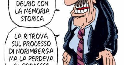 Copertina di La vignetta di Franzaroli