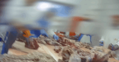 Copertina di Carne scaduta e rimessa in commercio: scatta l’allerta alimentare dopo l’inchiesta di Report. L’anticipazione della nuova puntata