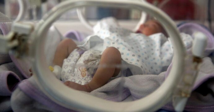 Genoma, pure il Brasile chiede aiuto alla Puglia