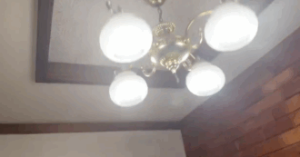 Copertina di Terremoto in Giappone, il momento della scossa ripreso in una casa di Aomori: il video