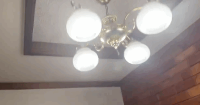 Copertina di Terremoto in Giappone, il momento della scossa ripreso in una casa di Aomori: il video