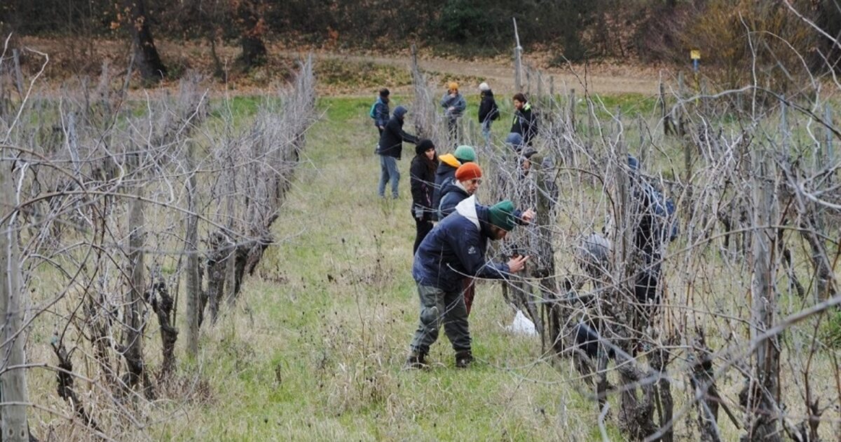 Una Scuola Contadina gratuita sui saperi dell’agricoltura: l’iniziativa dell’Unione Buddhista e di Mondeggi Bene Comune Una Scuola Contadina gratuita sui saperi dell’agricoltura: l’iniziativa dell’Unione Buddhista e di Mondeggi Bene Comune