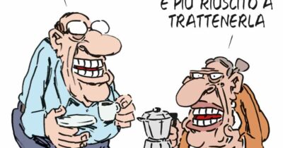 Copertina di La vignetta di Franzaroli